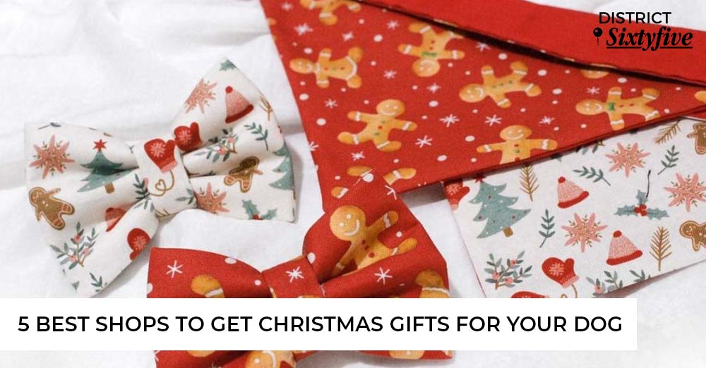 5 best shops to get Christmas gifts for your dog in Singapore