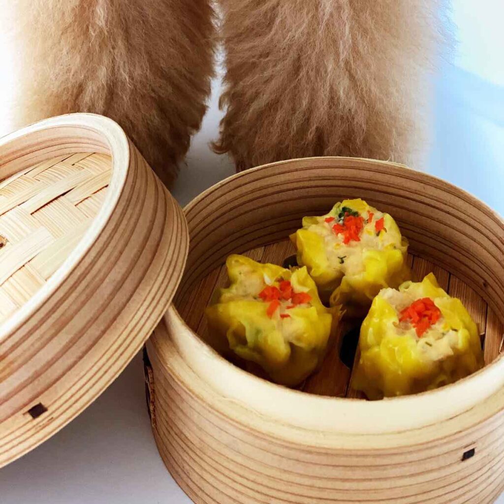 Bossipaws Dimsum siew mais for dogs. Source: Bossipaws