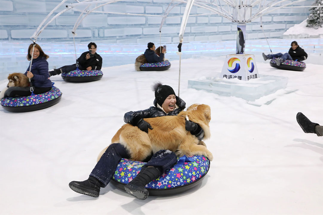 4 Paws @ Ice Magic – Experience real snow with your dogs