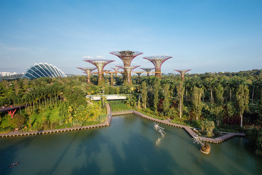 Free nature & sustainability tours at Gardens by the Bay