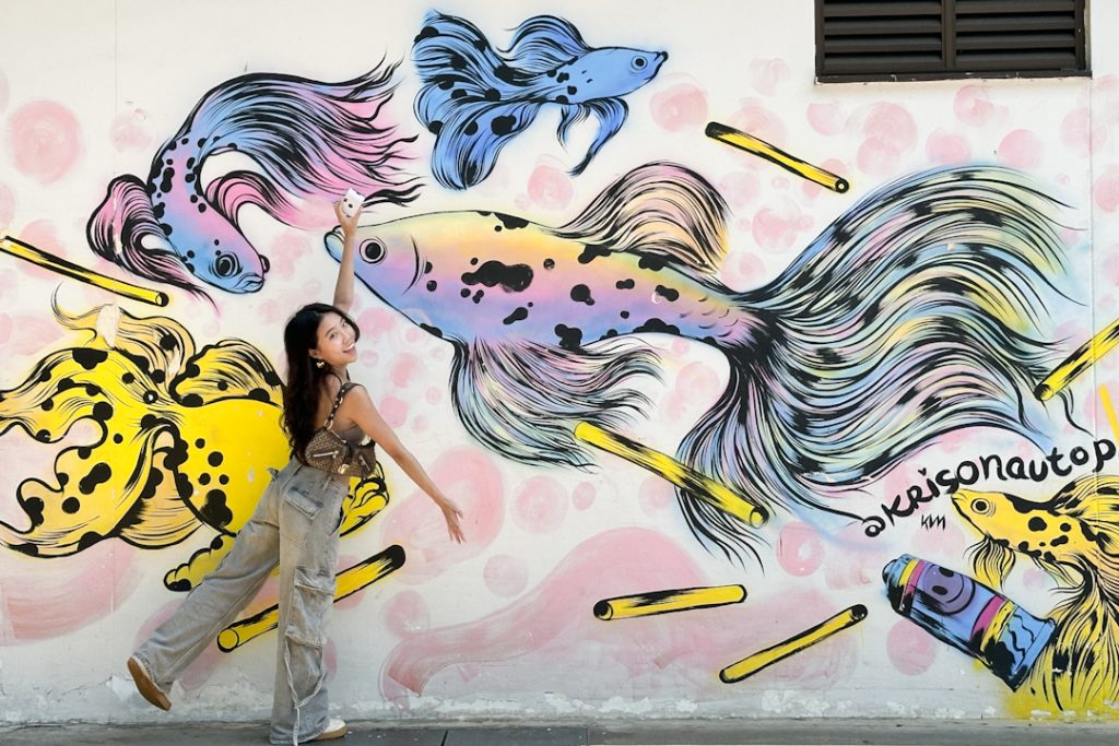 One of the murals in Queenstown, location is part of Momentus Hotel Alexandra's Dial Up Your Moments With Us mural hunter pack