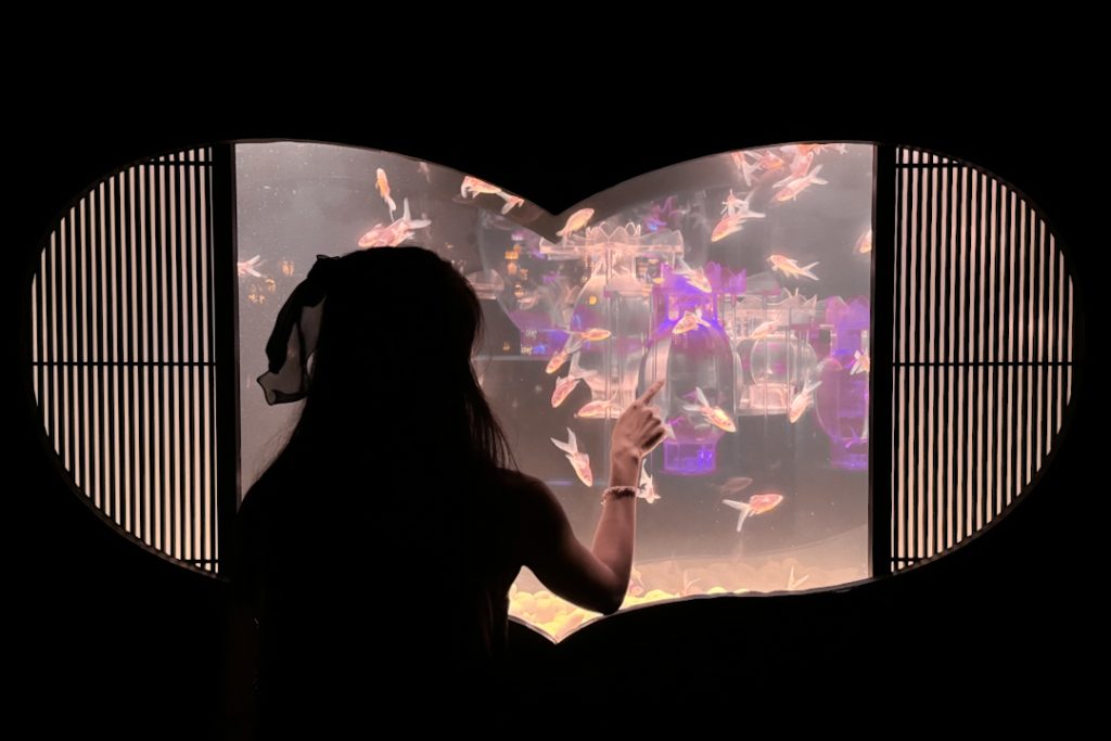 heart shaped goldfish tank in Art Aquarium Museum Ginza