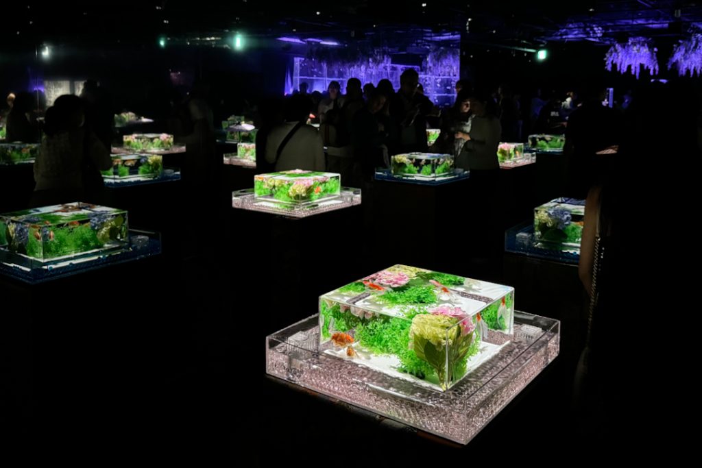 Goldfish artworks in Tokyo Ginza