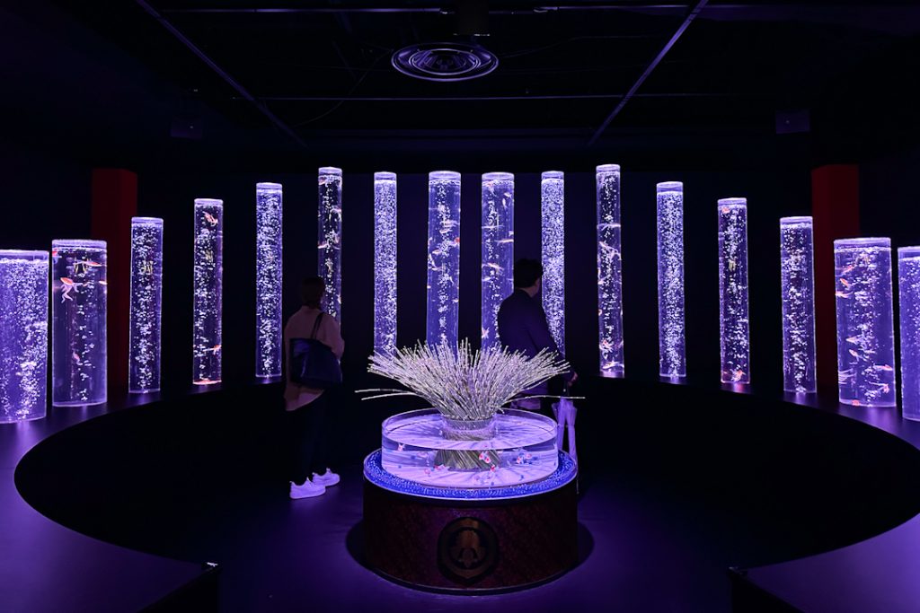 Goldfish Forest at Art Aquarium Museum