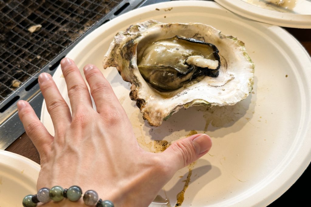 Huge kumamoto oysters