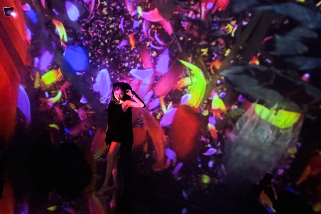 Dark dome with moving flowers artwork
