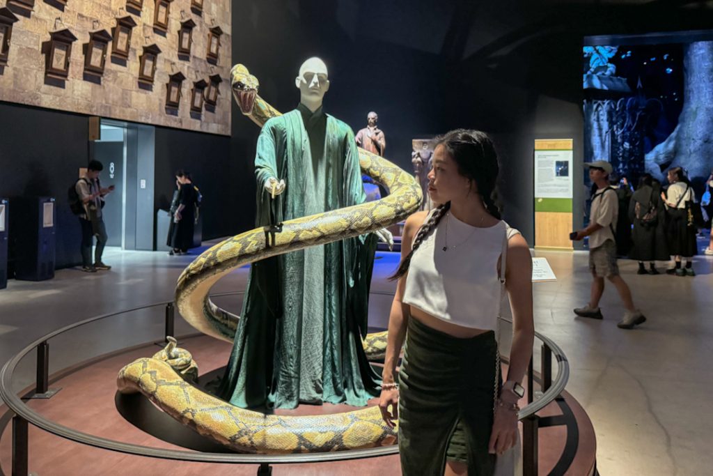 Voldemort life-size model at Tokyo Harry Potter park