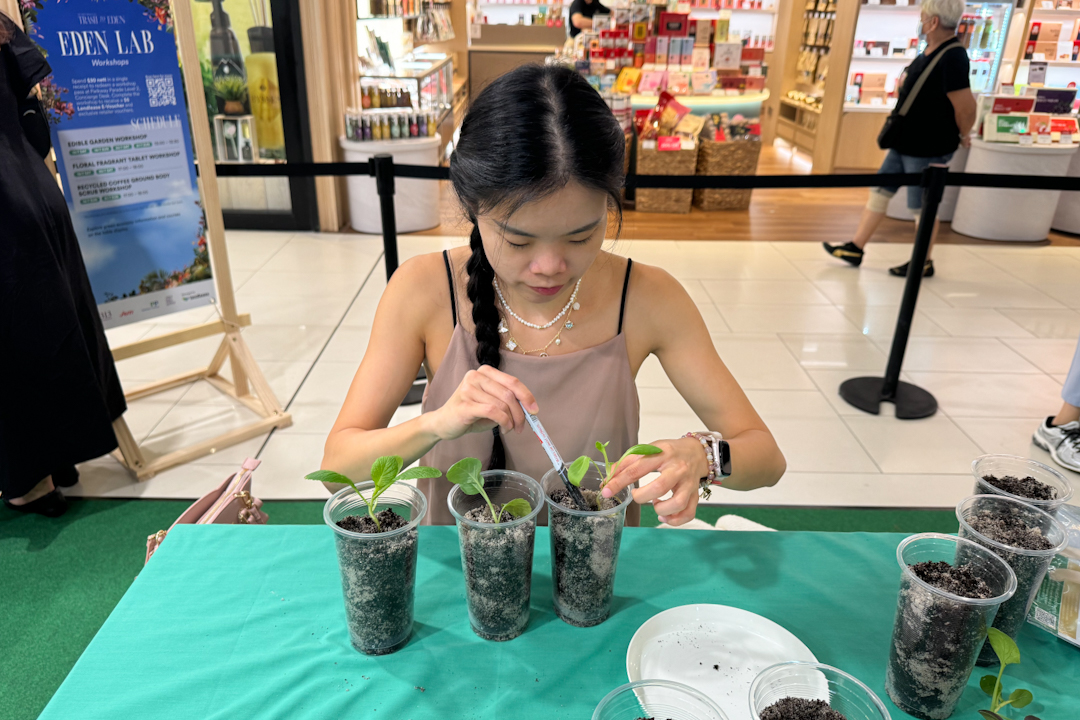 Edible Garden Workshop at Parkway Parade