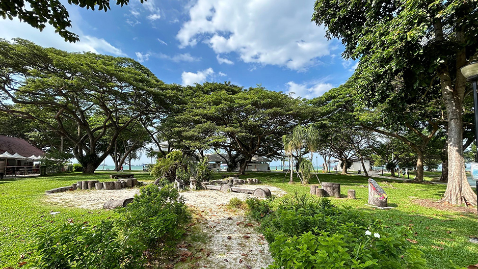 Serene nature walks at East Coast Park