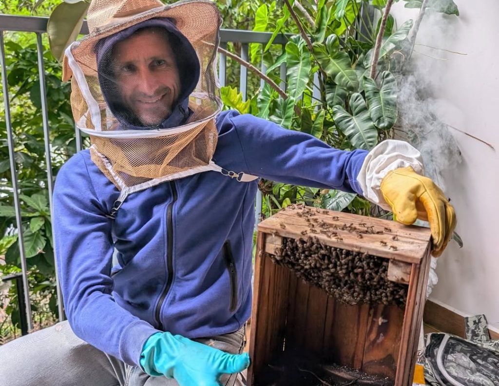 Farm-to-table experience. Bee farming workshop. 