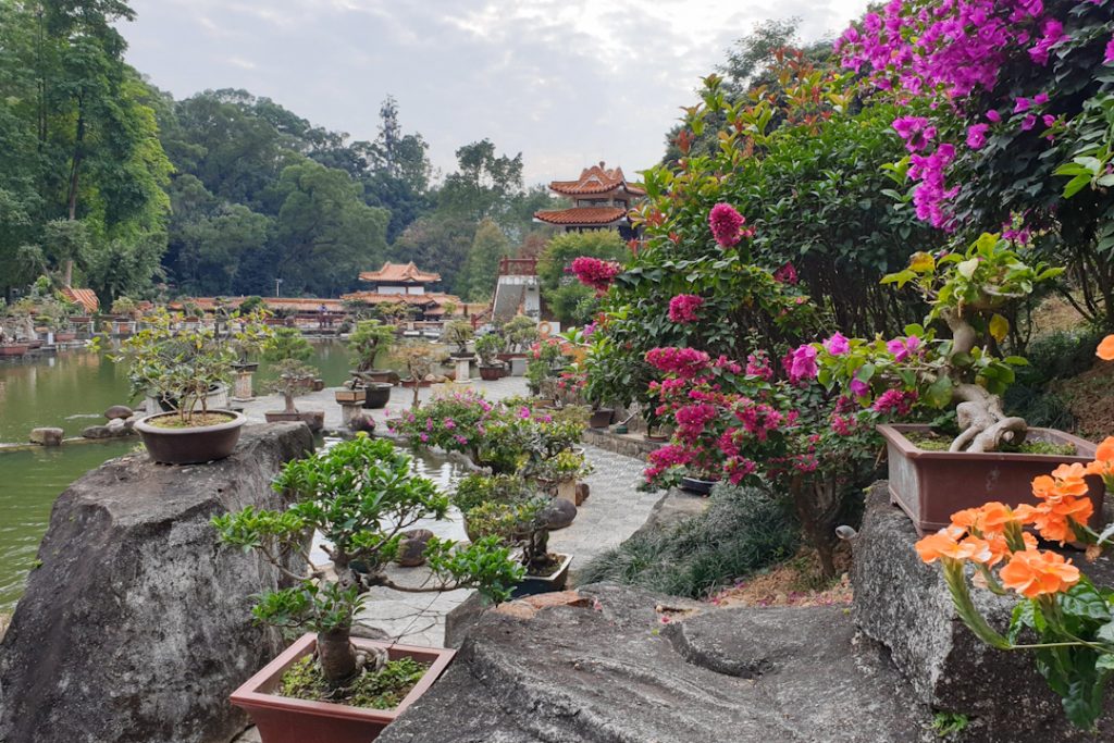 Shenzhen Fairy Lake Botanical Garden 