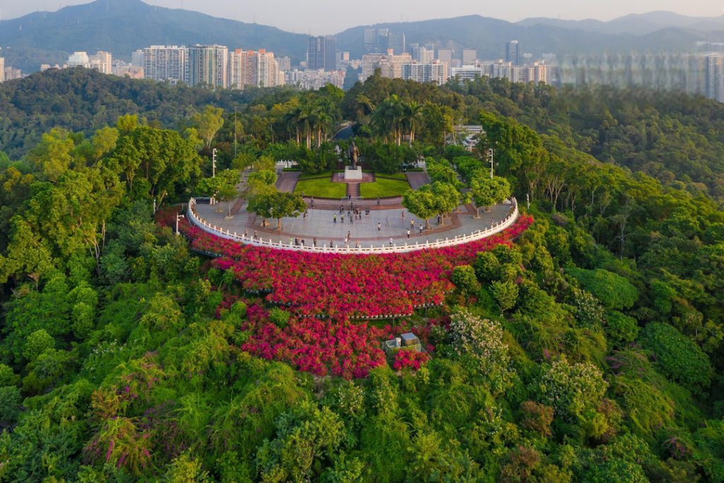 Drone shot of Lianhuashan Park in Shenzhen