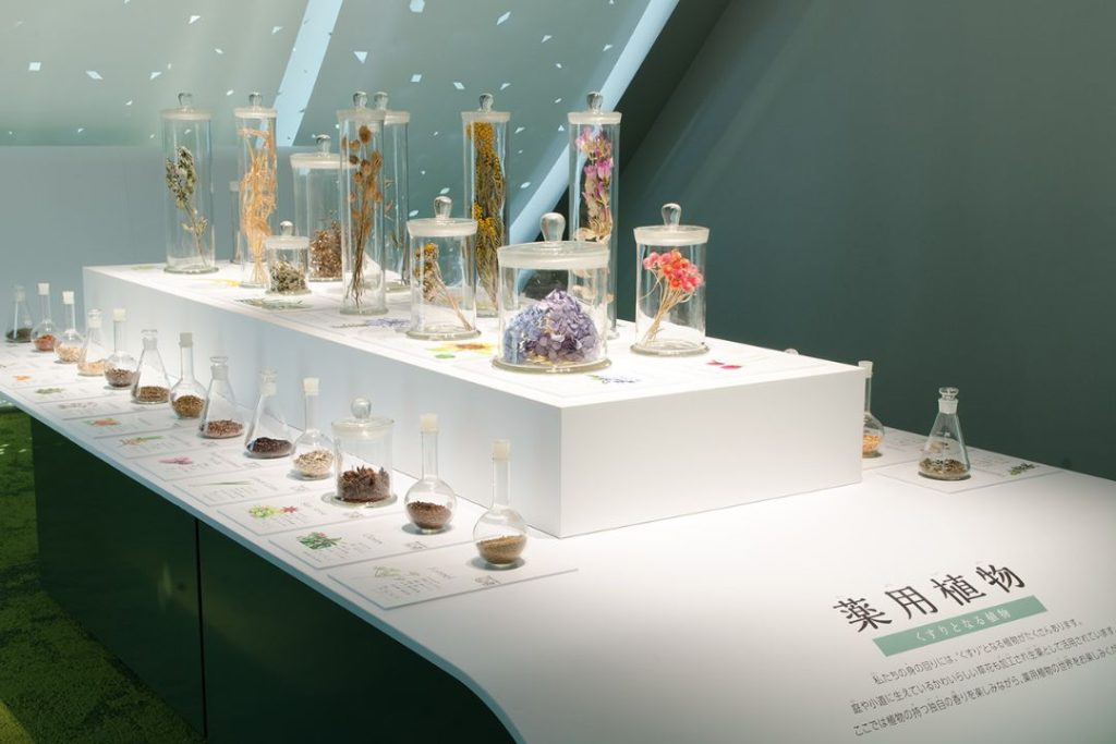 Nakatomi Memorial Medicine Museum in Tosu Kyushu