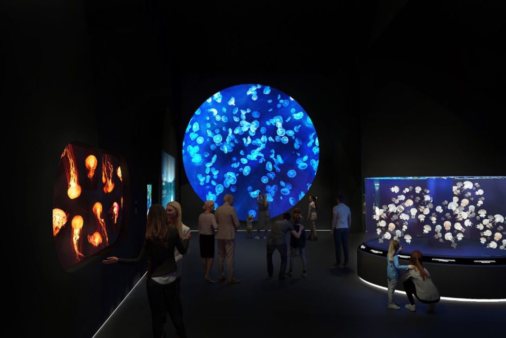 Jellyfish at Ocean Wonders, one of the themed zones at the newly opened Singapore Oceanarium