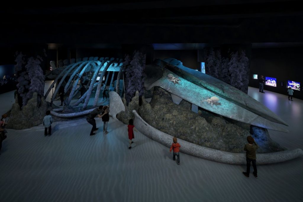 Whale Fall and Sea Mount zone at Singapore Oceanarium