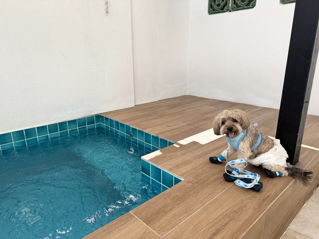 Pet-friendly jacuzzi at Amara Sanctuary Sentosa