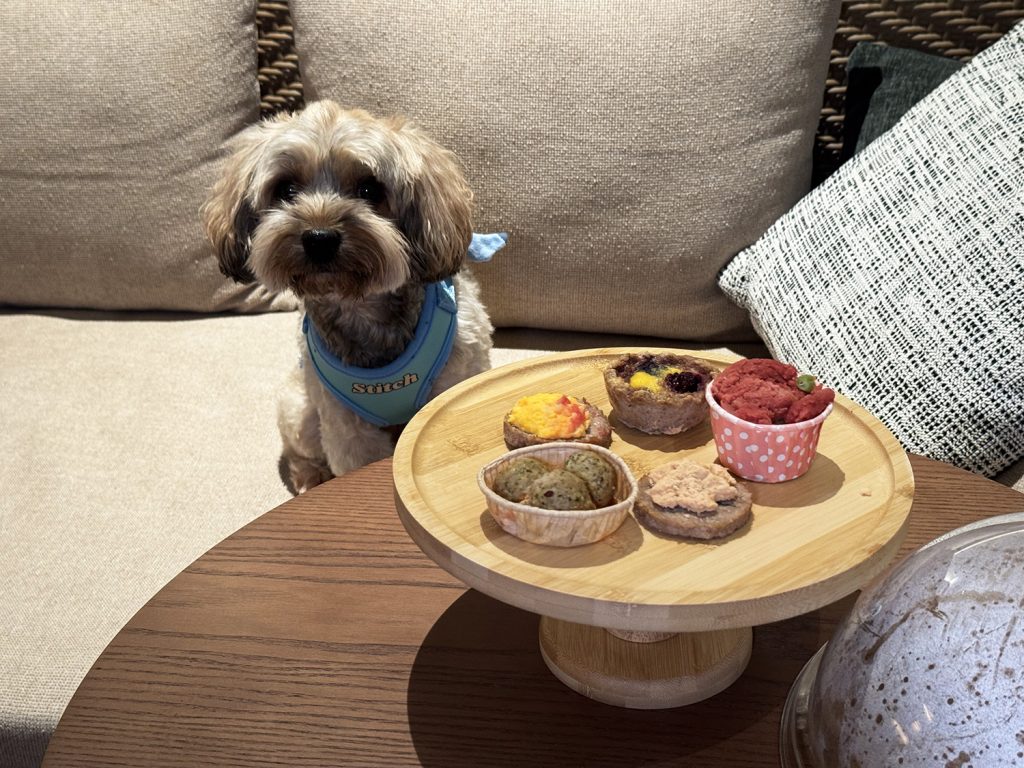Breakfast and high-tea with my dog