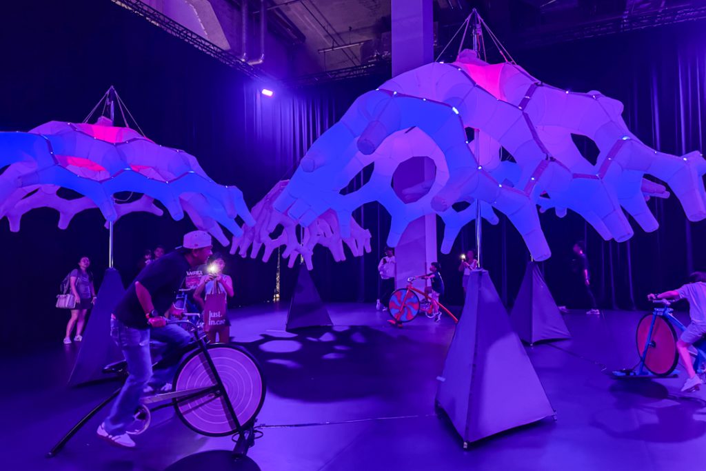 Canopy artwork
