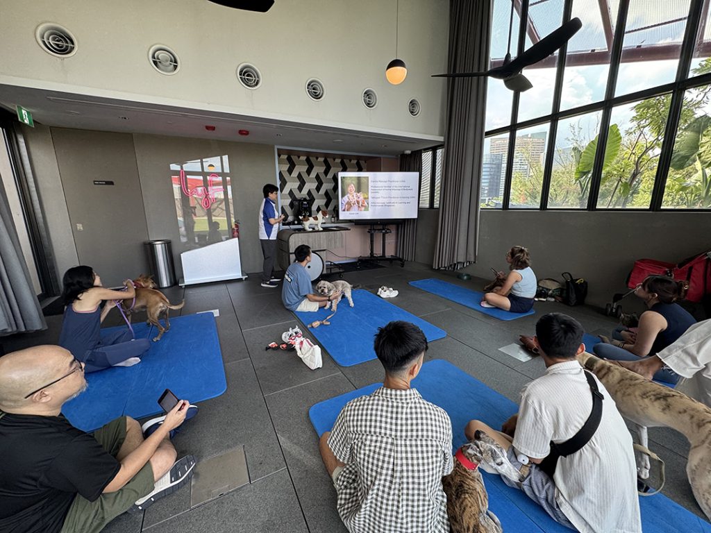 Puppy Massage workshop at pet-friendly hotel lyf one north