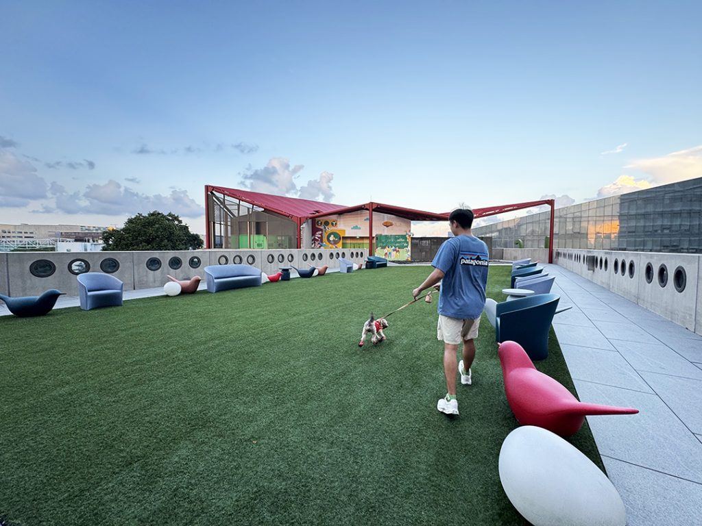 outdoor lawn at lyf one north