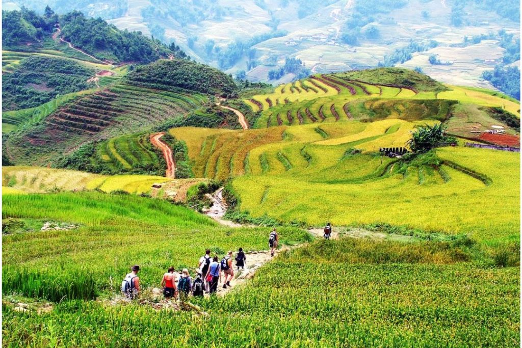 Tourists hiking in Lao Chai rice terraces and valleys