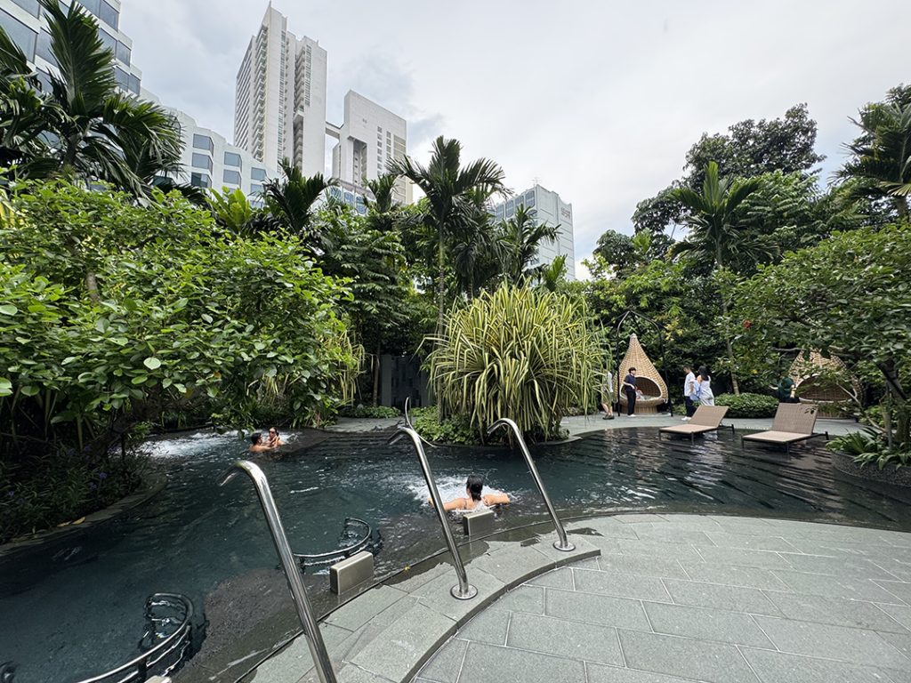 Grand Hyatt Orchard Hotel pool