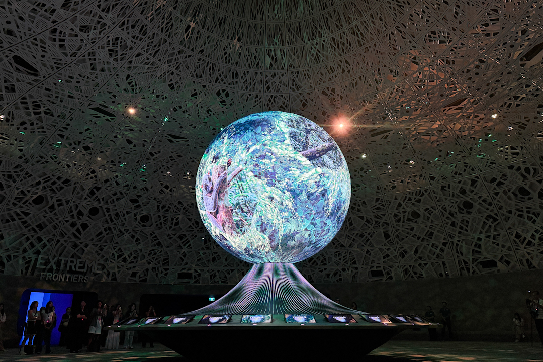 Mandai Exploria attraction photo — Interconnected World