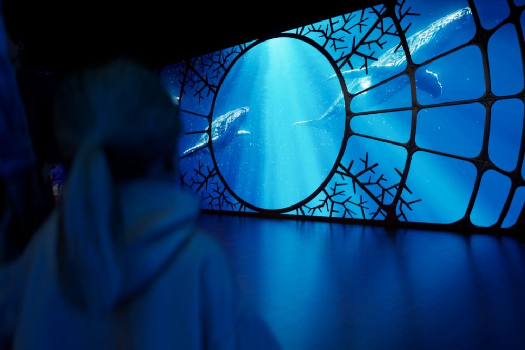 One Ocean immersive exhibition at Science Centre Singapore
