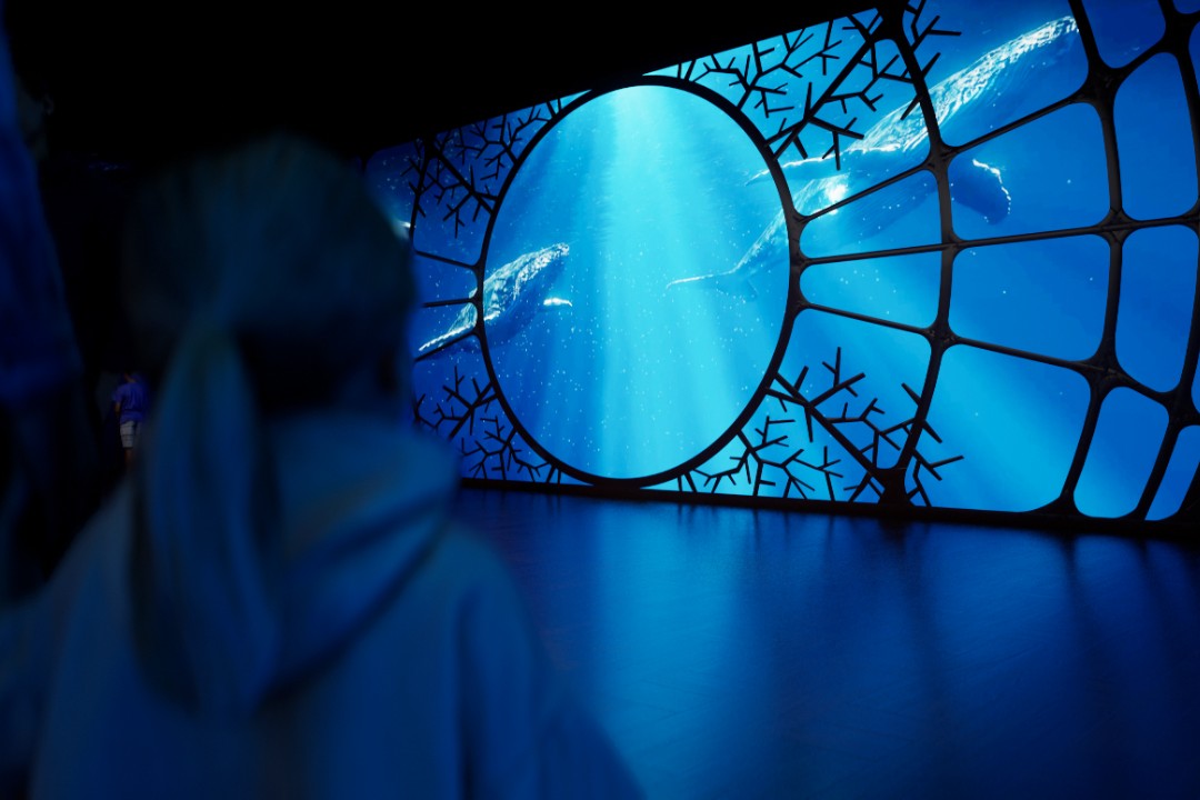 One Ocean immersive exhibition at Science Centre Singapore