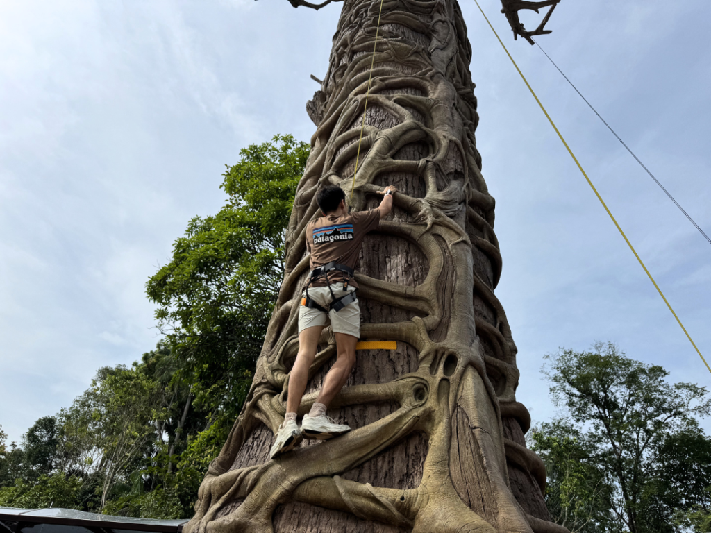 primate climb at rainforest wild asia
