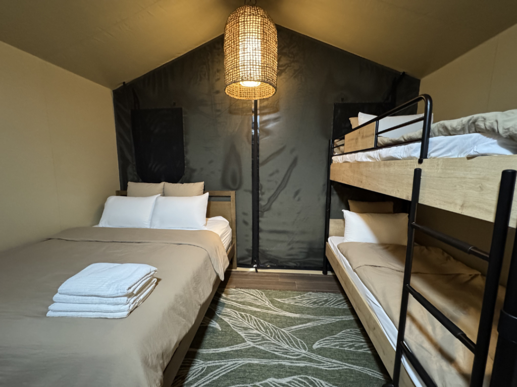 Crocodile lodge glamping experience tent interior photo