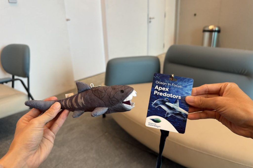 special shark plushie and lanyard for participants