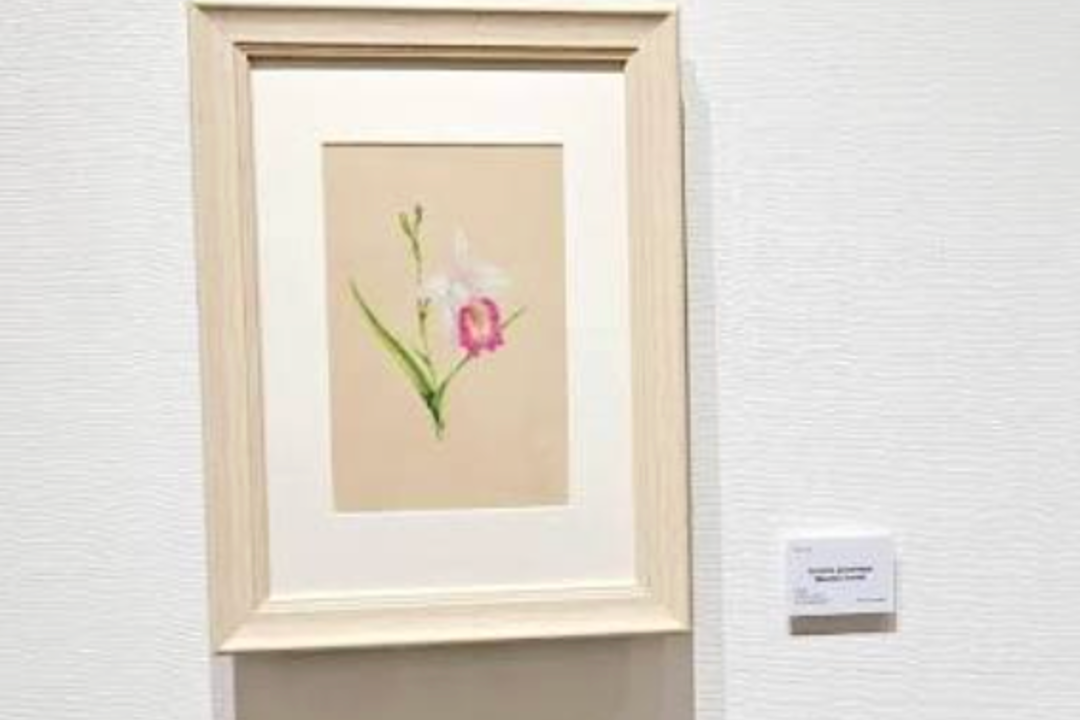 Beautiful in Her Garden exhibition by Moon Seon Mee at Art Company ImA Tanjong Pagar Distripark Singapore September 2026